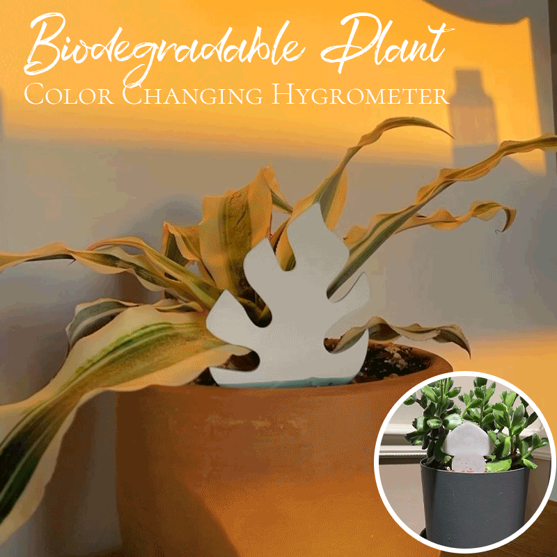 🌹Biodegradable Plant Color Changing Hygrometer