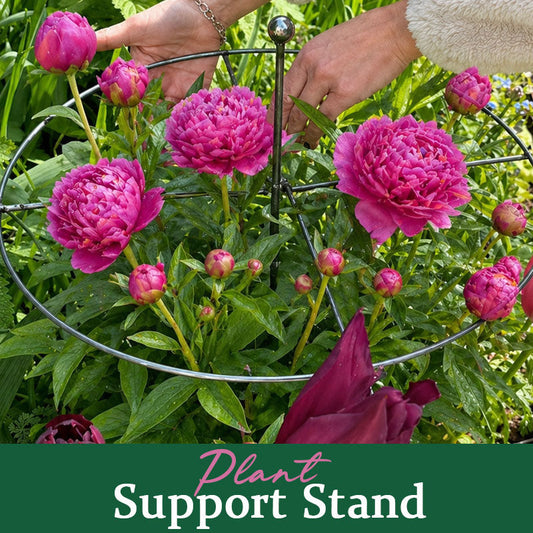 Plant Support