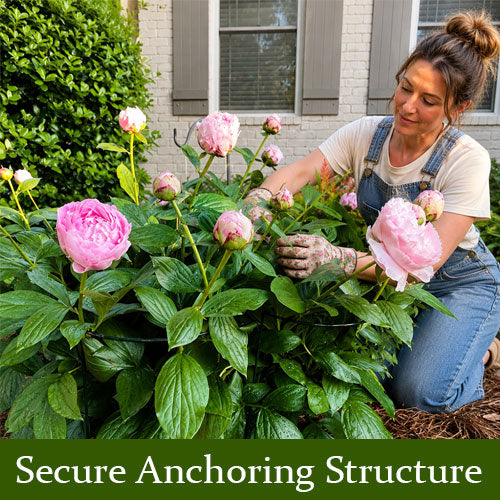 Garden Plant Support Stakes