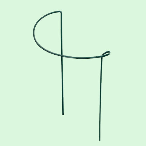 Garden Plant Support Stakes