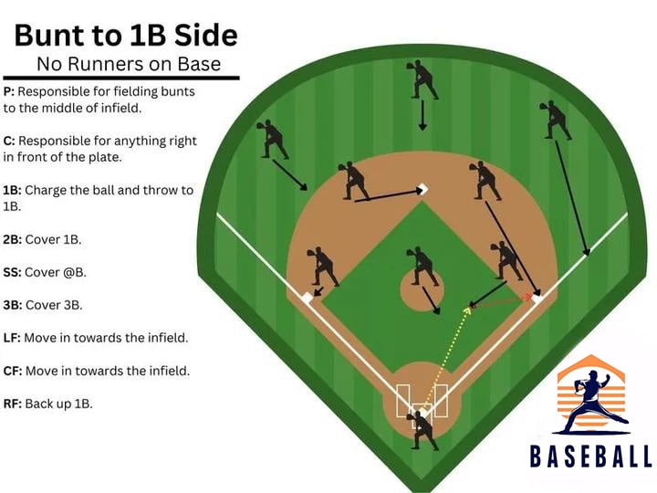 Baseball Softball Defensive Situations Guide Flip Book & Full Size Comprehensive Resource for Coaches Players Enthusiasts