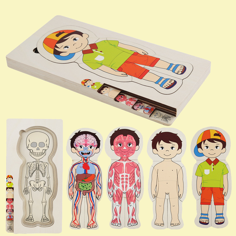 🧩 Human Body Jigsaw Puzzle