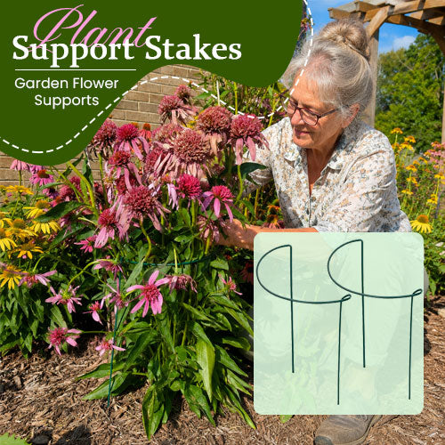 Garden Plant Support Stakes
