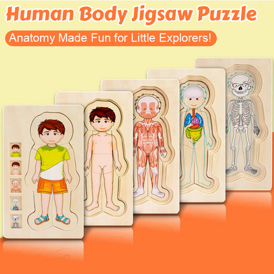 🧩 Human Body Jigsaw Puzzle