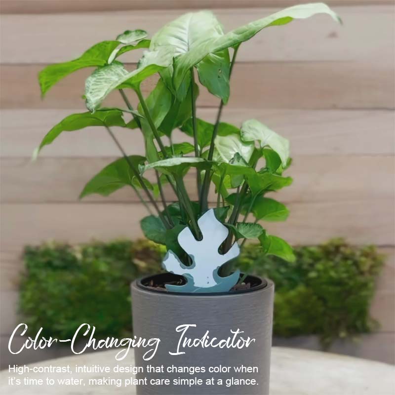 🌹Biodegradable Plant Color Changing Hygrometer