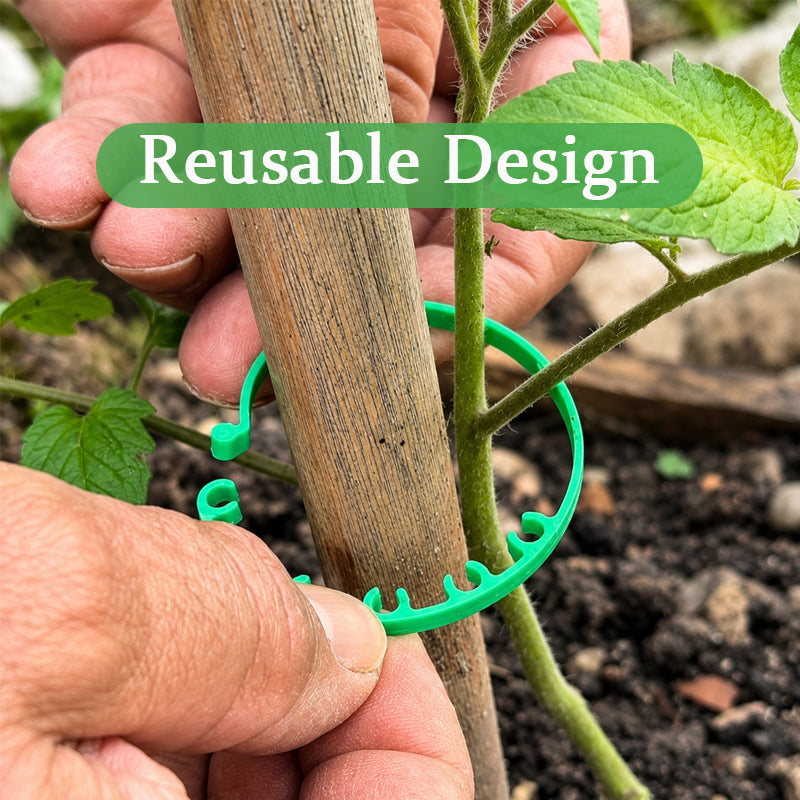Adjustable Plant Fixing Buckle