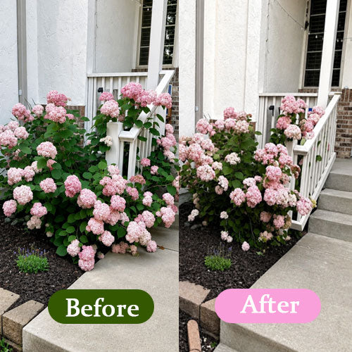 Garden Plant Support Stakes