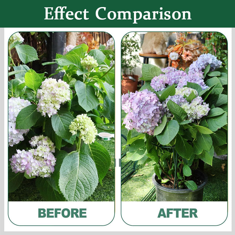 Plant Support