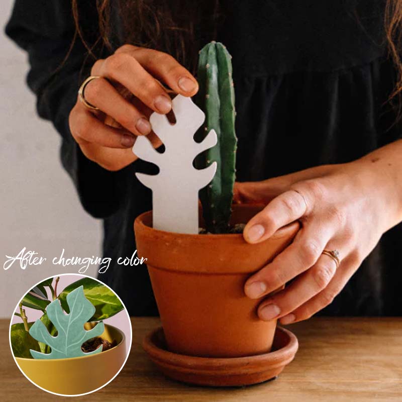 🌹Biodegradable Plant Color Changing Hygrometer