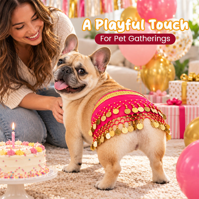 Pet Belly Dancing Hip Scarf & Coin Skirt for Dogs