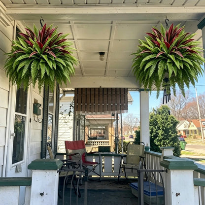 💥Summer Special🔥 UV-resistant artificial ferns & red dragon trees – Full, lush, and colorfast!