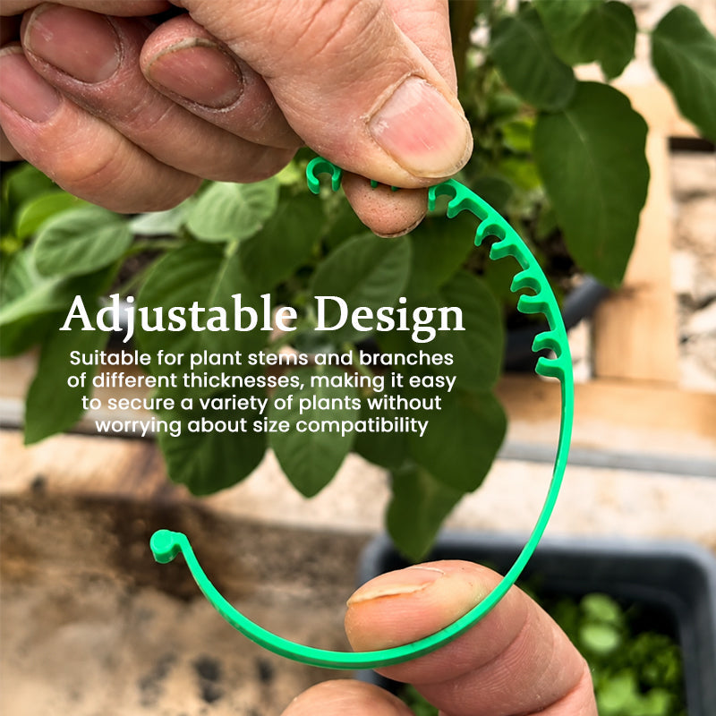 Adjustable Plant Fixing Buckle