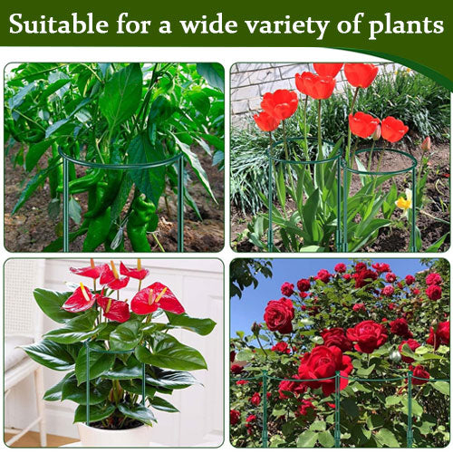 Garden Plant Support Stakes