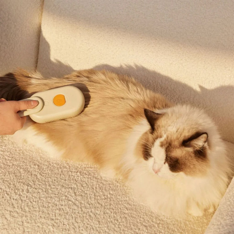 Cat Steam Brush