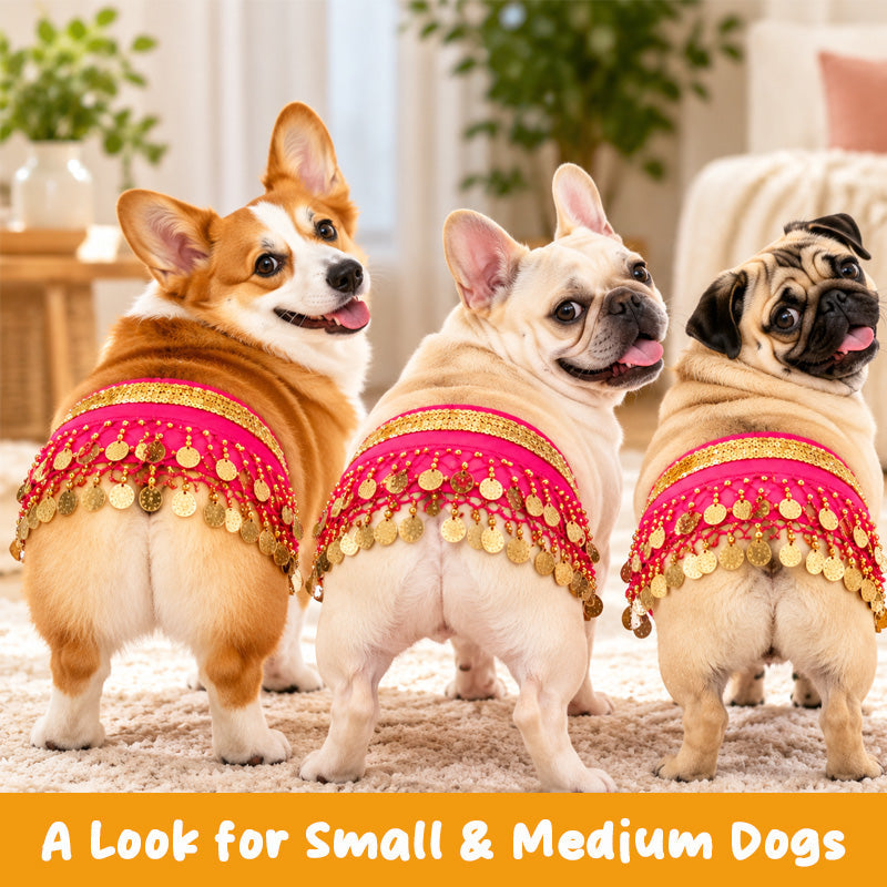 Pet Belly Dancing Hip Scarf & Coin Skirt for Dogs