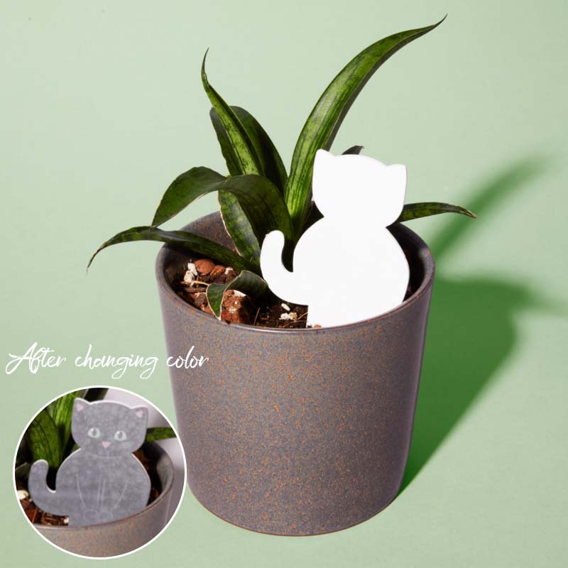 🌹Biodegradable Plant Color Changing Hygrometer