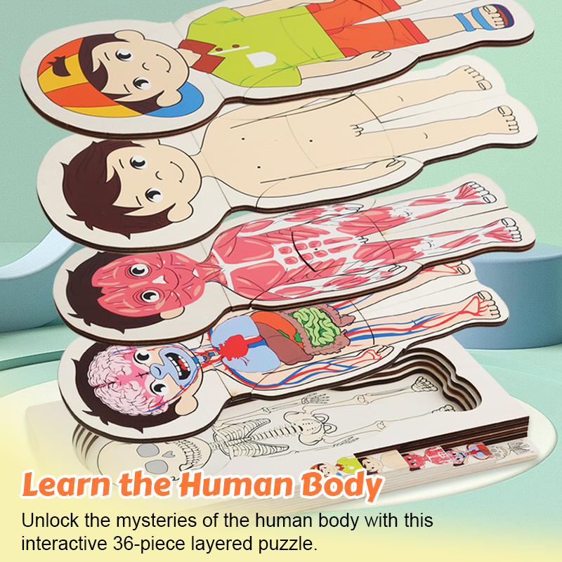 🧩 Human Body Jigsaw Puzzle