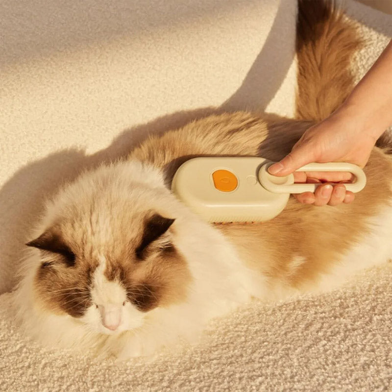 Cat Steam Brush