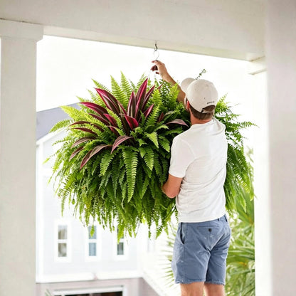 💥Summer Special🔥 UV-resistant artificial ferns & red dragon trees – Full, lush, and colorfast!