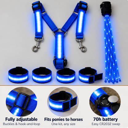 🐎Light-up Horse-riding Set
