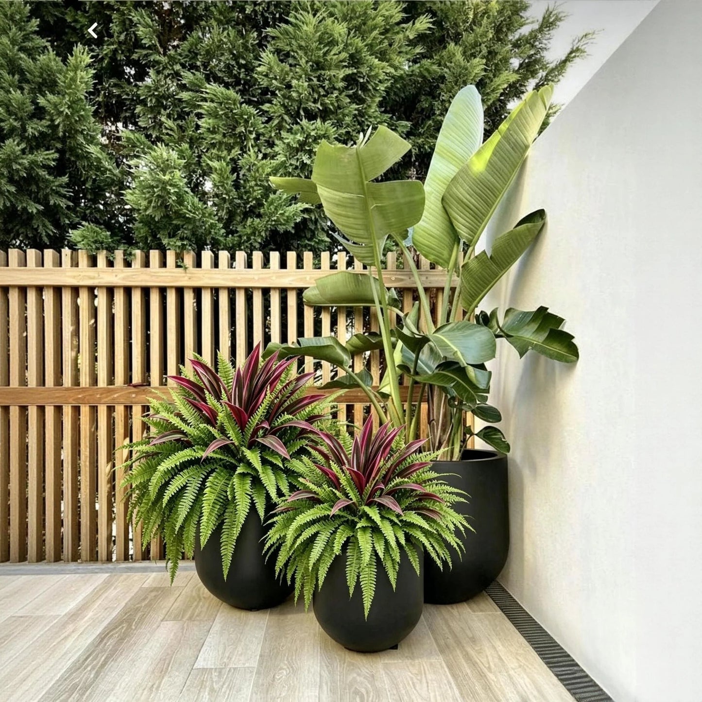💥Summer Special🔥 UV-resistant artificial ferns & red dragon trees – Full, lush, and colorfast!